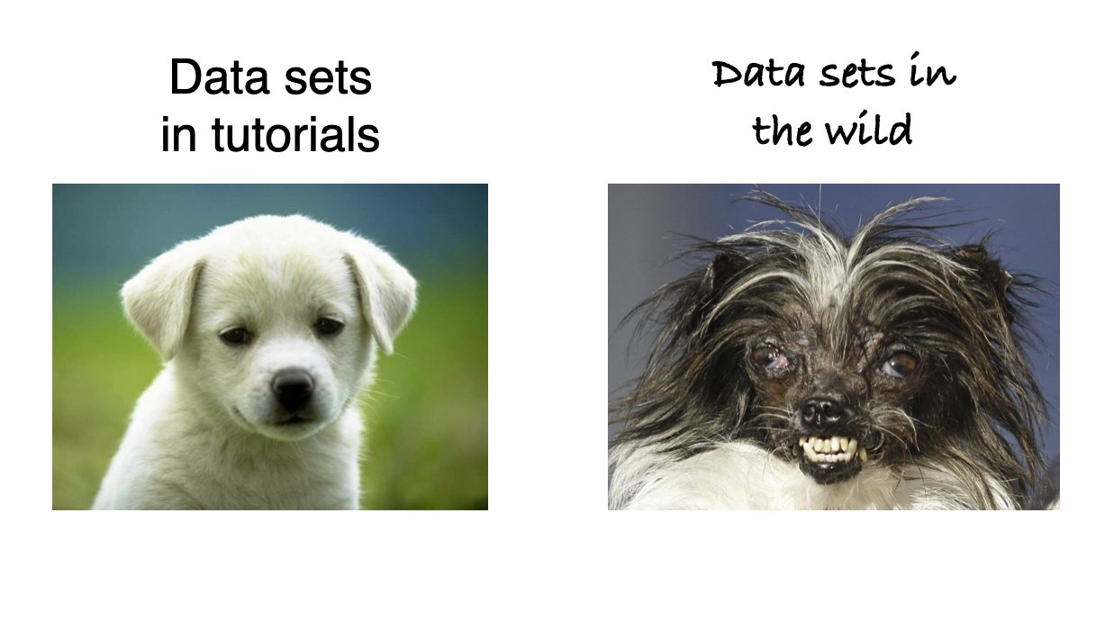 Meme showing cute puppy representing data used in tutorials and a weird dog representing data in the wild.