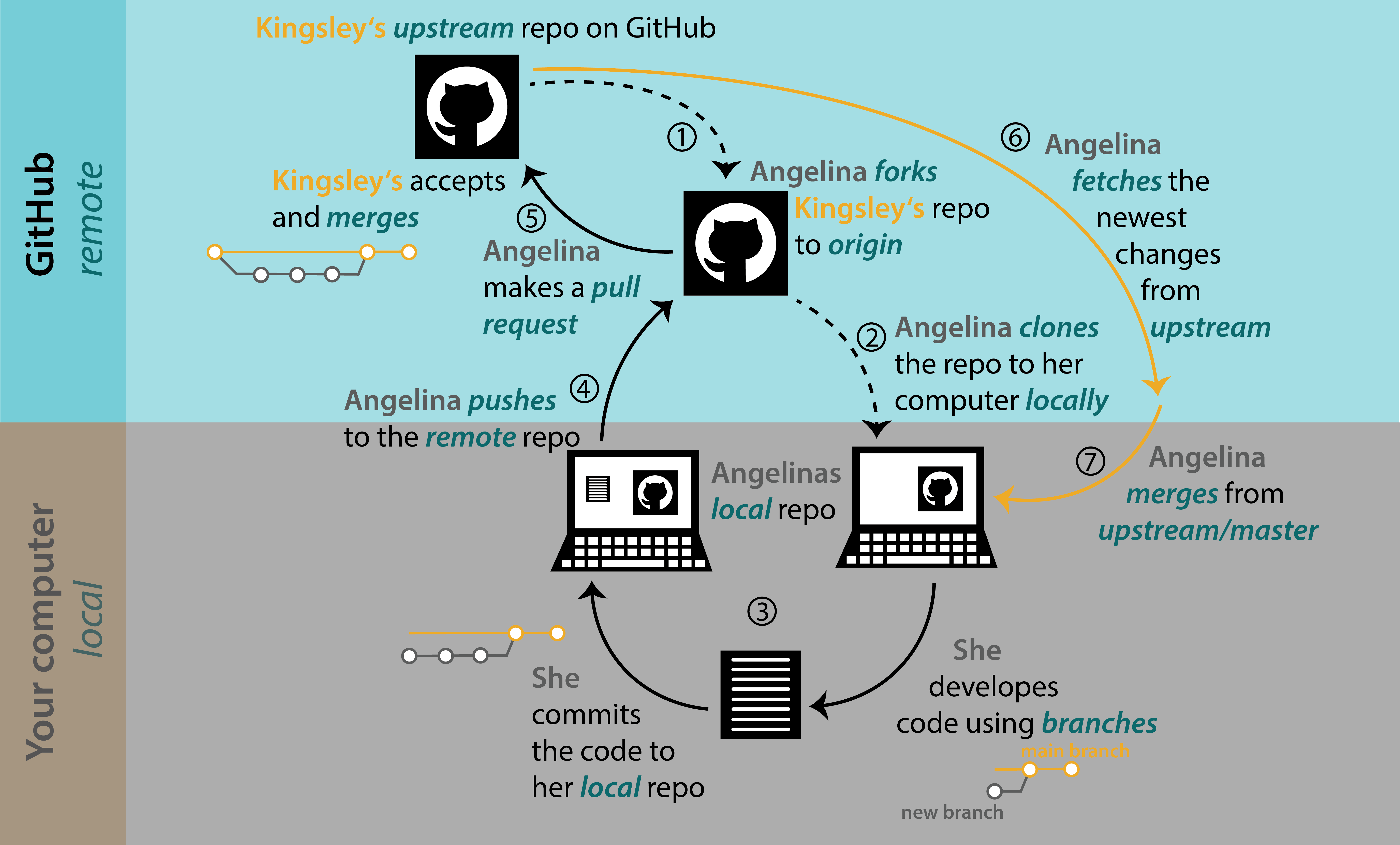 Schematic diagram showing how the GitHub workflow is used to collaborate with forks