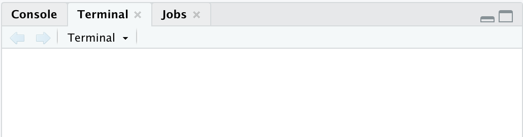 Screenshot of the terminal in RStudio