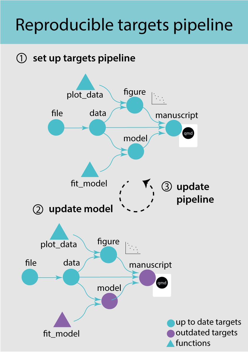 Reproducible targets pipeline.