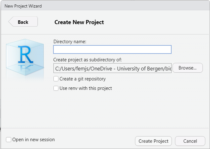 Screenshot of the last stage of creating a new project in RStudio